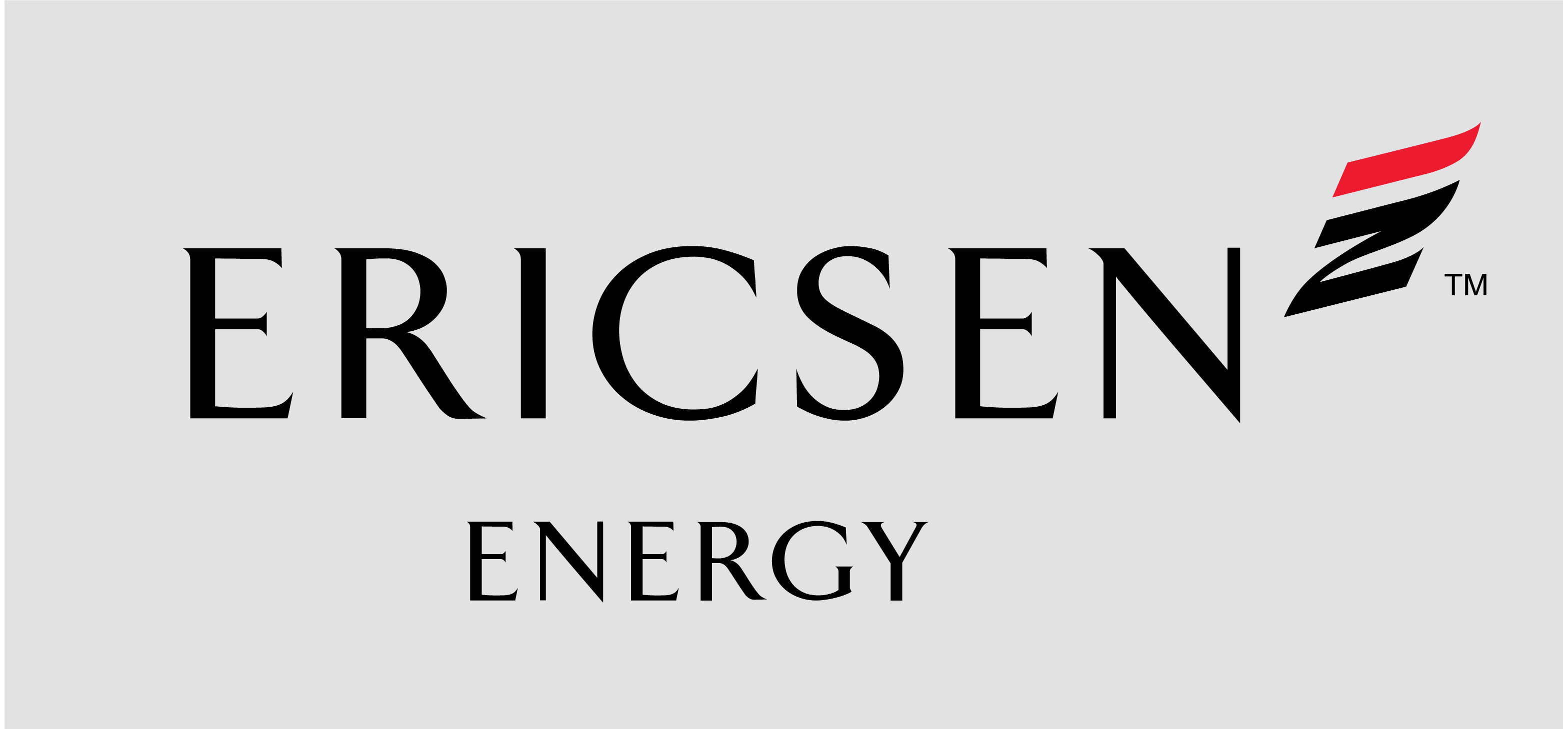 //cergasglobal.com/wp-content/uploads/2020/02/Our-Approach-Ericsen-Logo-1.png